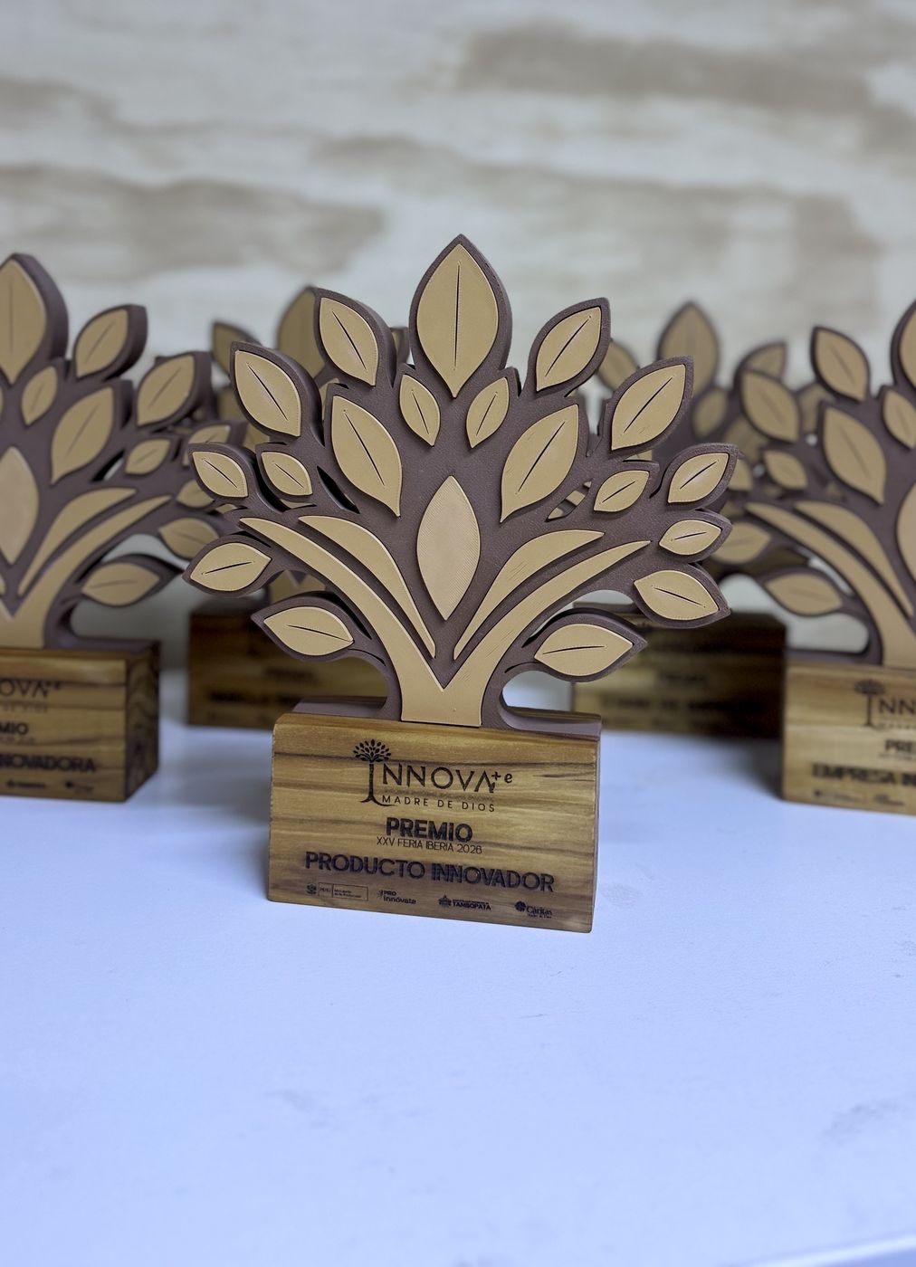 Trofeo Madre de Dios