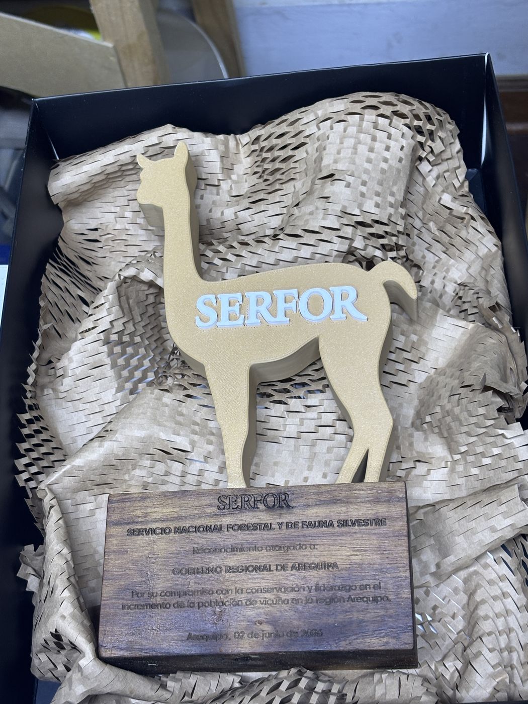 Trofeo Vicuña
